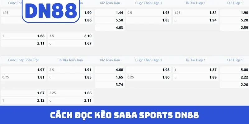 Cách đọc kèo Saba Sports DN88